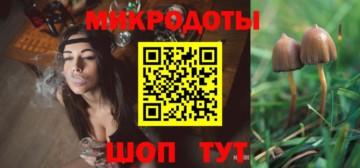 Галлюциногенные грибы Psilocybe Фрязино